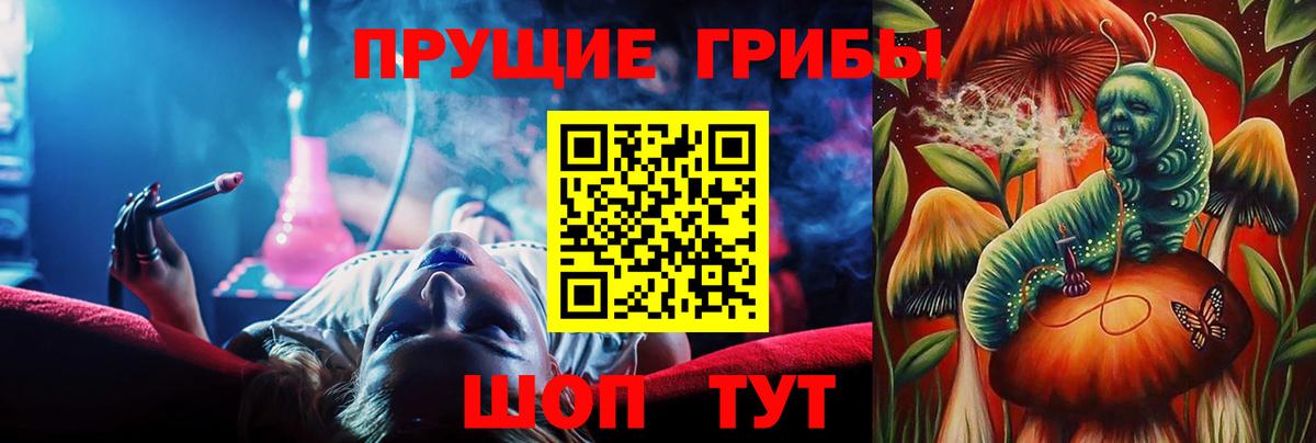 Галлюциногенные грибы MAGIC MUSHROOMS  Вход с VPN  купить наркотик  Жигулёвск 